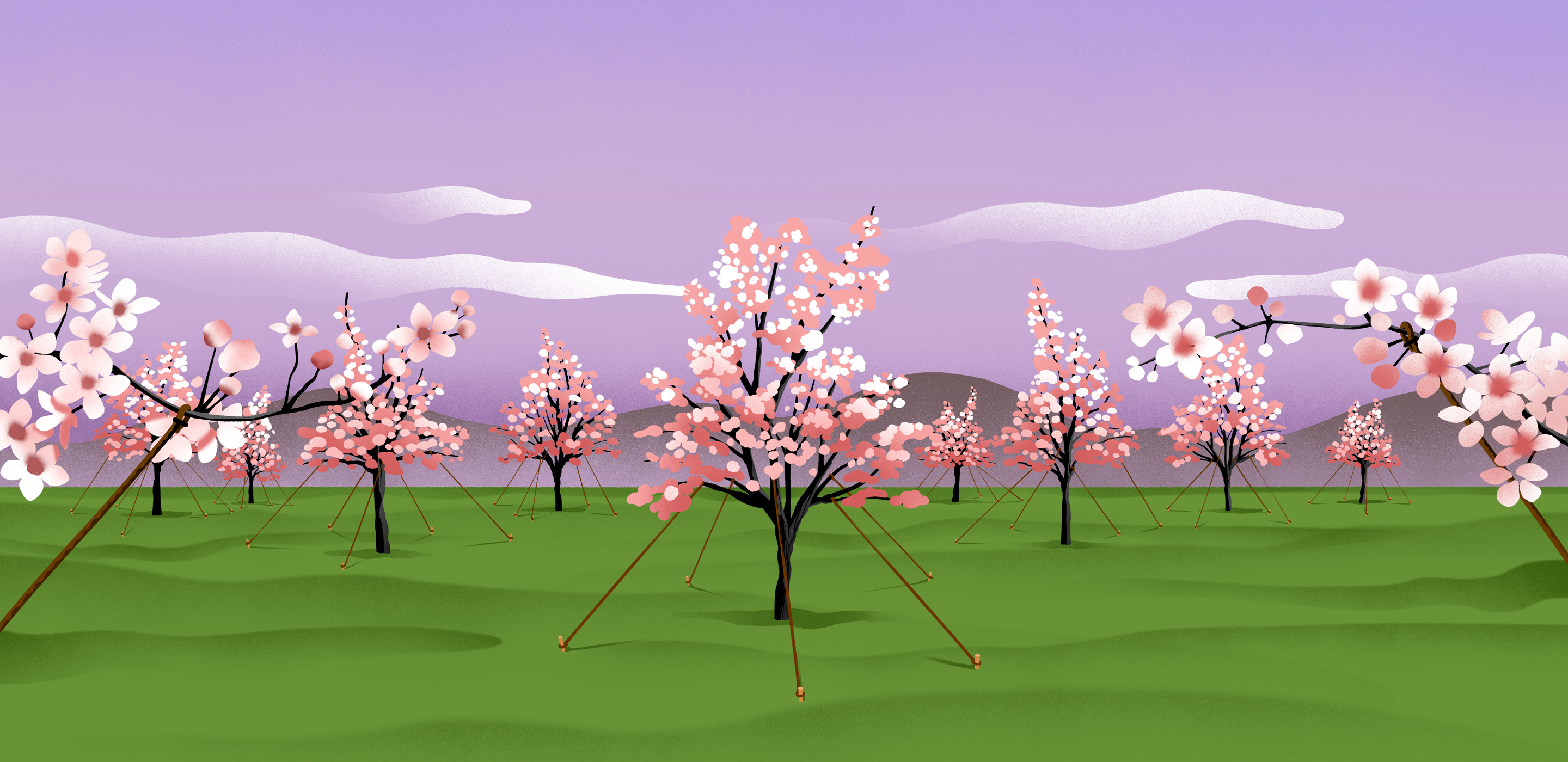 Banner230412.png