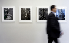 Tokihiro Sato (b. 1957, Japan) Shirakami #1, #7, 2008, Hakkoda #2, #7, 2008-2009 Gelatin silver-print Installation Photograph: © Franziska Lamprecht and Hajoe Moderegger Deutsche Bank Collection