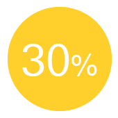 Vulnerable 30%